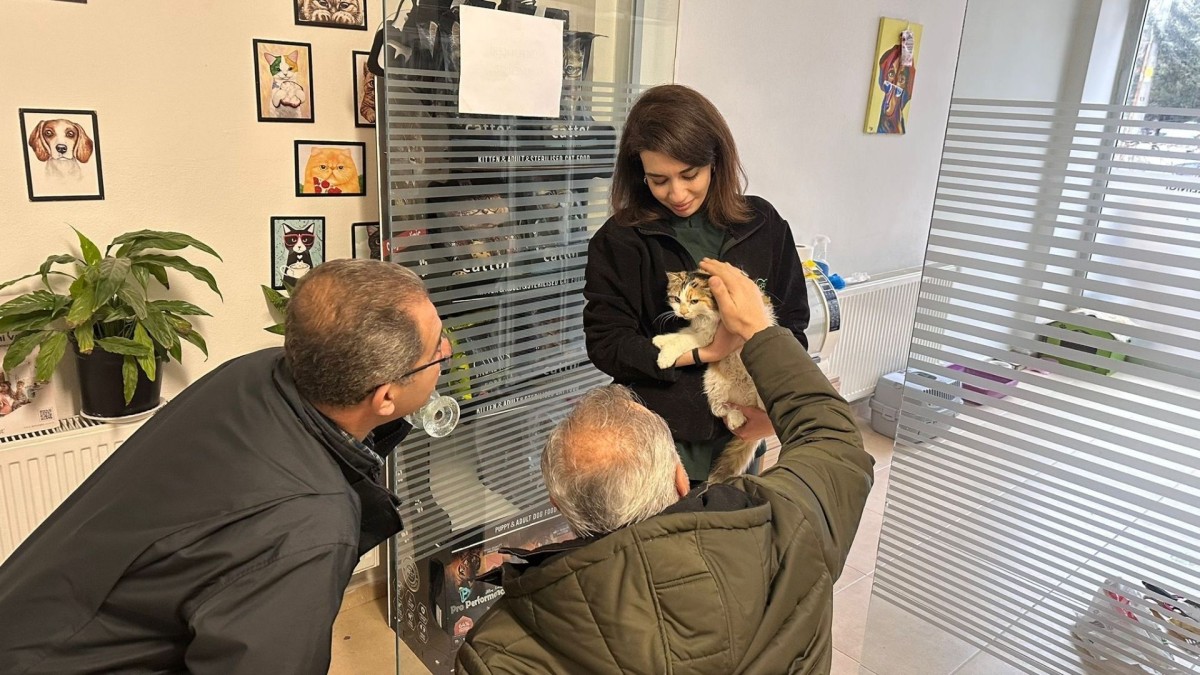 Adıyaman’da kimliği belirsiz kişilerin şiddetine uğrayan kedi ameliyatla kurtarıldı