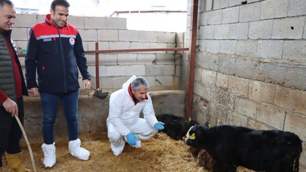 Adıyaman’da ‘Kırsalda Bereket, Hayvancılığa Destek Projesi’ ilk sonuçlarını verdi