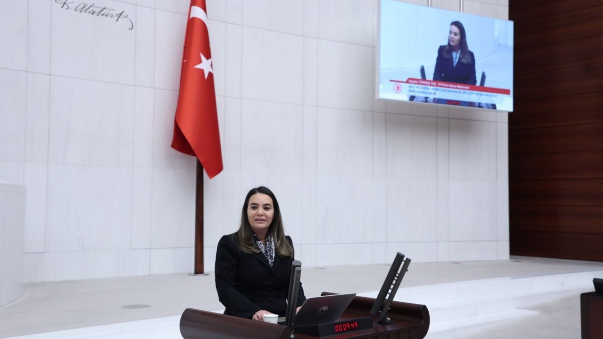 Ayyüce Türkeş’ten Erkan Akçay’a sert tepki