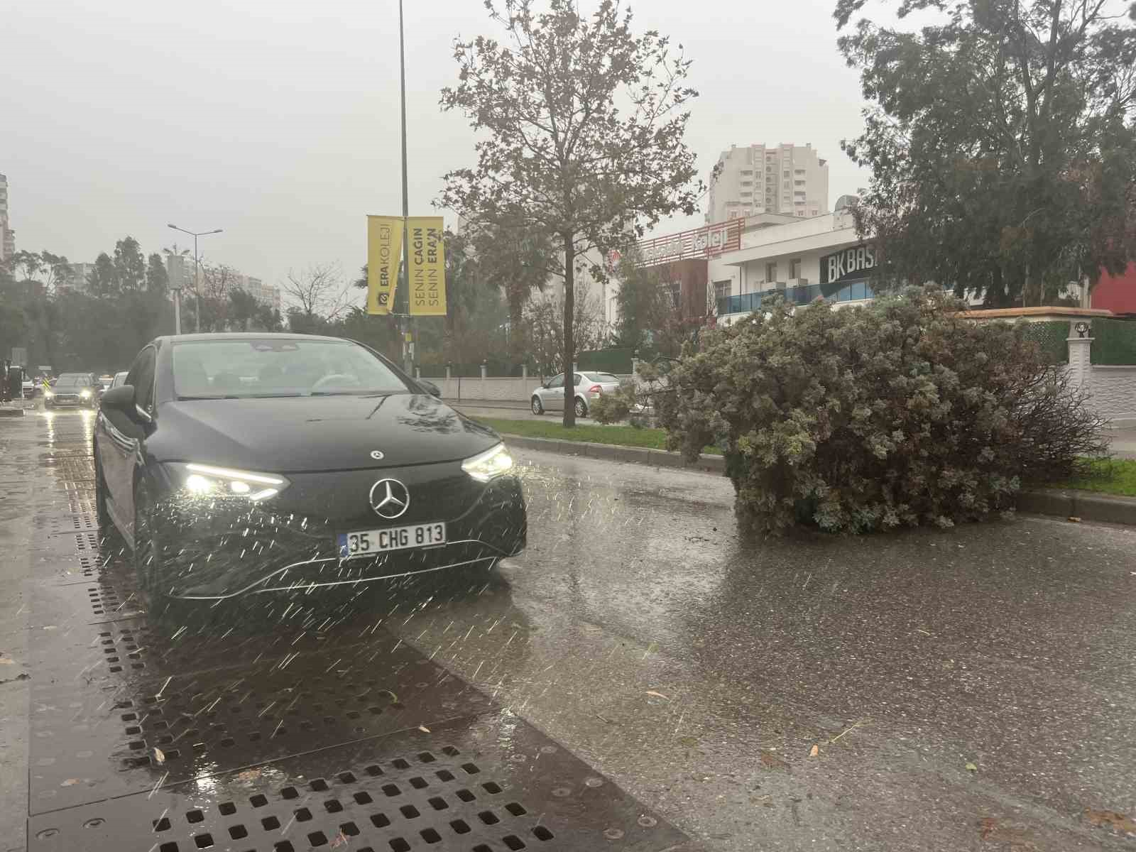 İzmir’de fırtına ağaçları devirdi: 5 araç hasar gördü