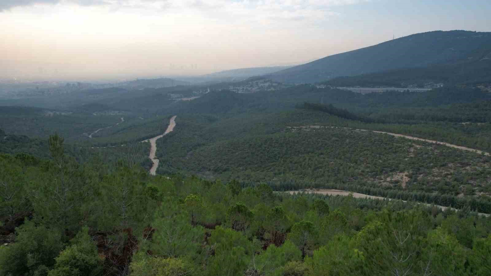 İzmir’de ormanlara giriş yasağı başladı