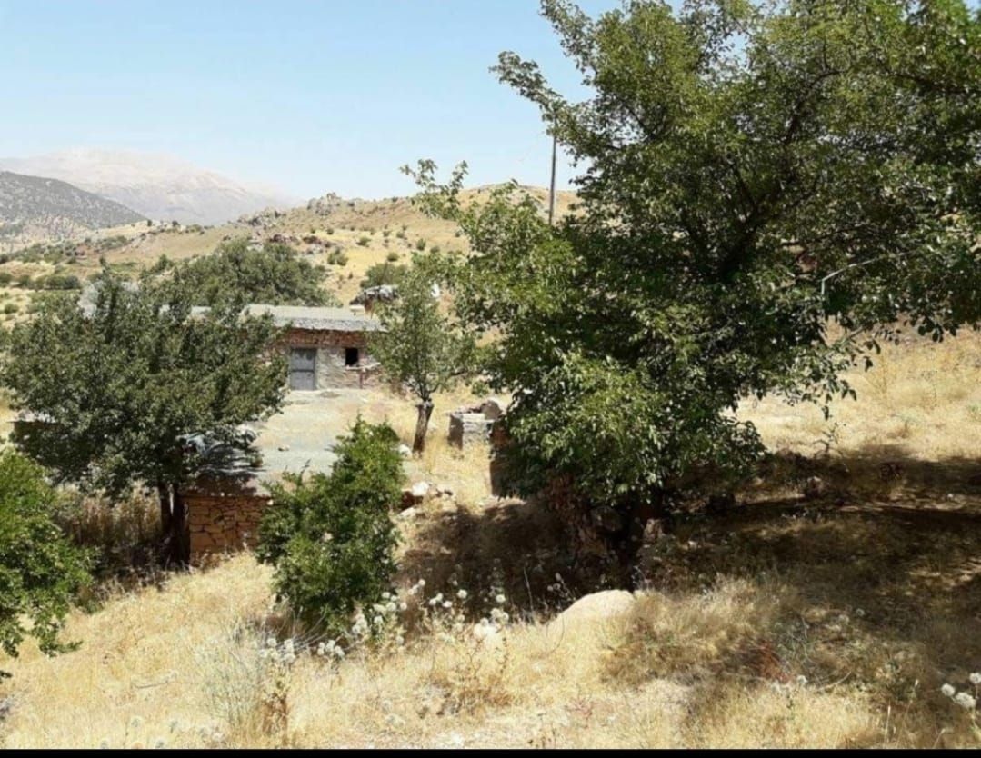 Tapu kaydı olmadığı için hak sahibi olamayan yaşlı adam yetkililerden destek bekliyor
